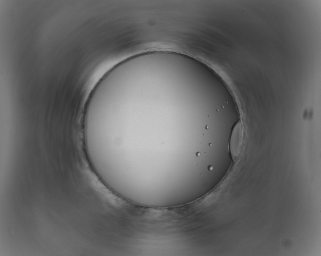 X0000111491056200907281222