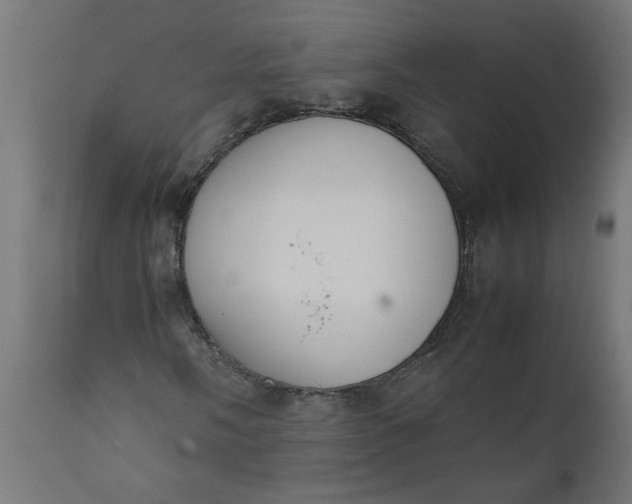 X0000111491058200907281221