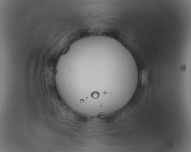 X0000111491059200907281221