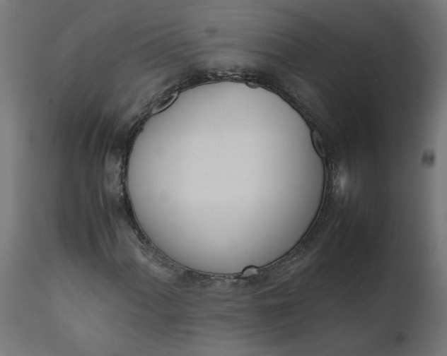 X0000111491060200907281221