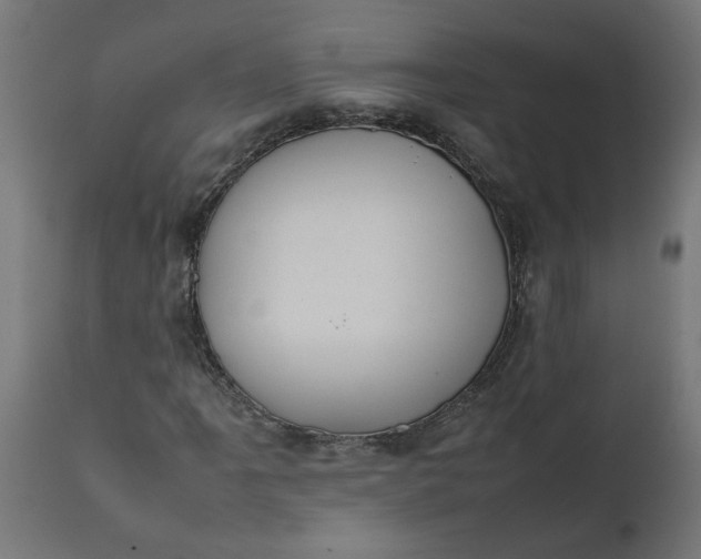 X0000111491061200907281221