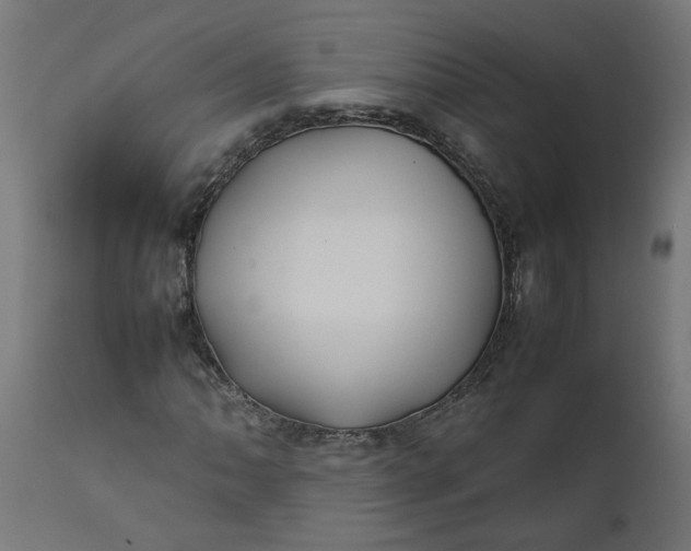 X0000111491062200907281221