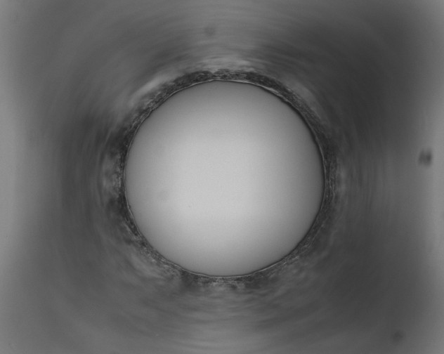 X0000111491063200907281221