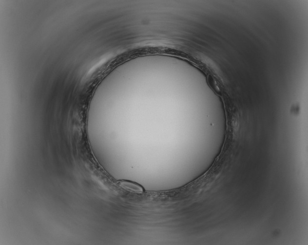 X0000111491064200907281221