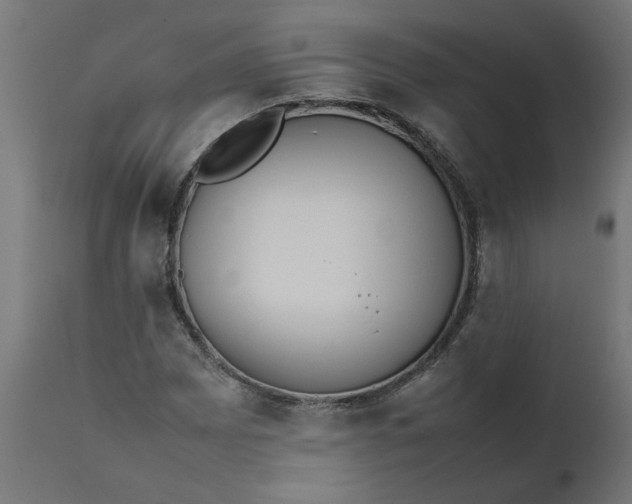 X0000111491065200907281221