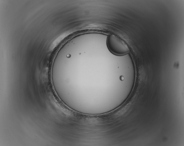 X0000111491066200907281221