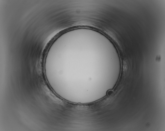 X0000111491068200907281221