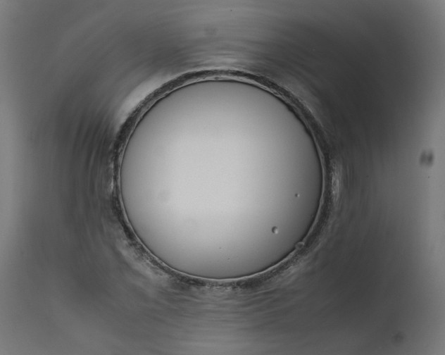 X0000111491069200907281221