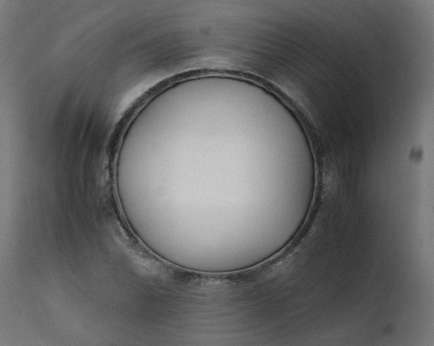 X0000111491070200907281221