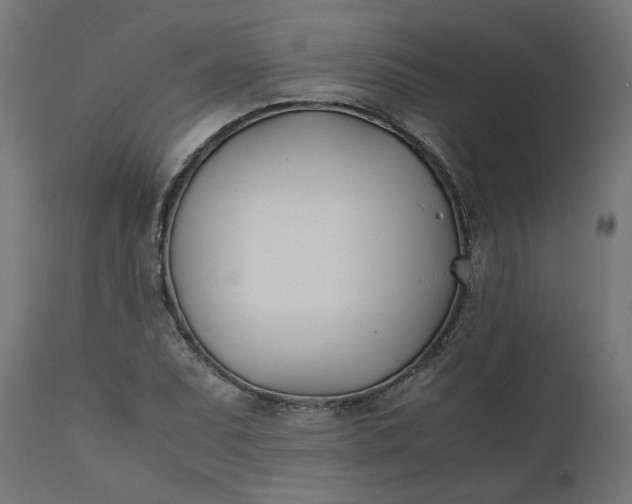 X0000111491071200907281221