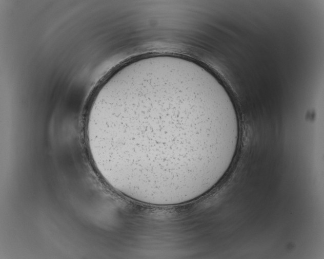 X0000111491074200907281221