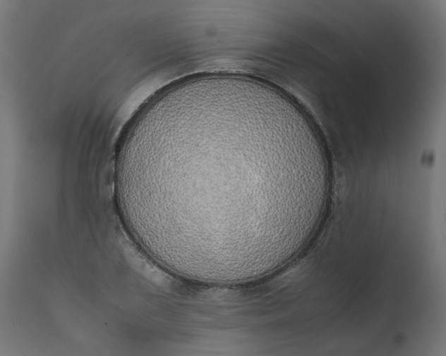 X0000111491075200907281221