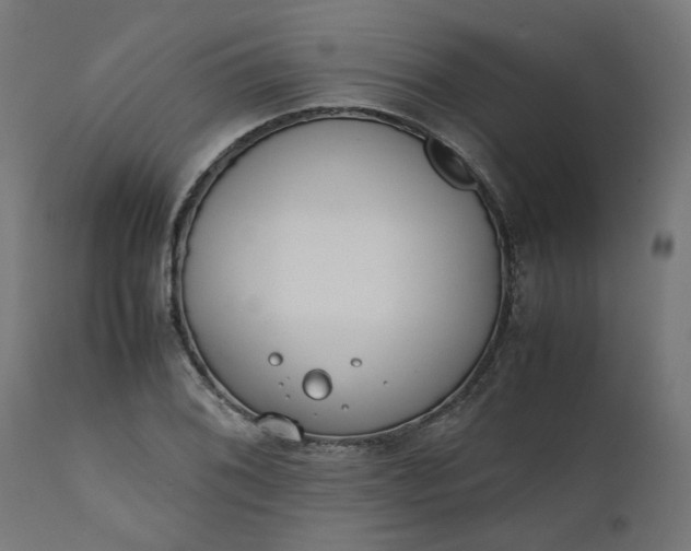 X0000111491076200907281221