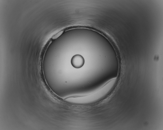 X0000111491077200907281221