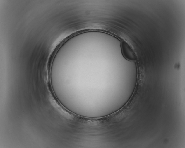 X0000111491080200907281221