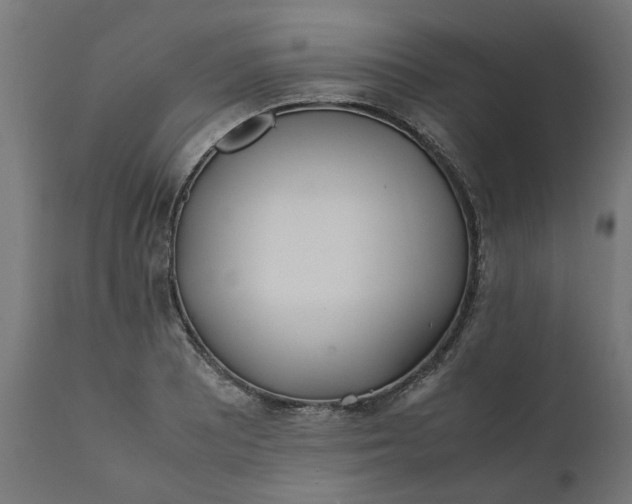 X0000111491081200907281221