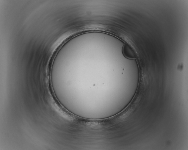 X0000111491082200907281221