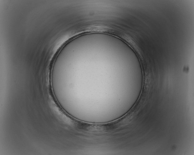 X0000111491083200907281221