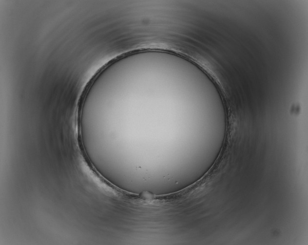 X0000111491084200907281221