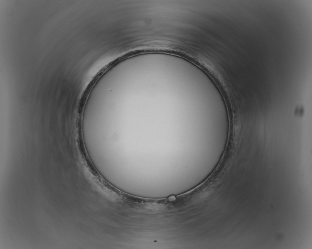 X0000111491085200907281221