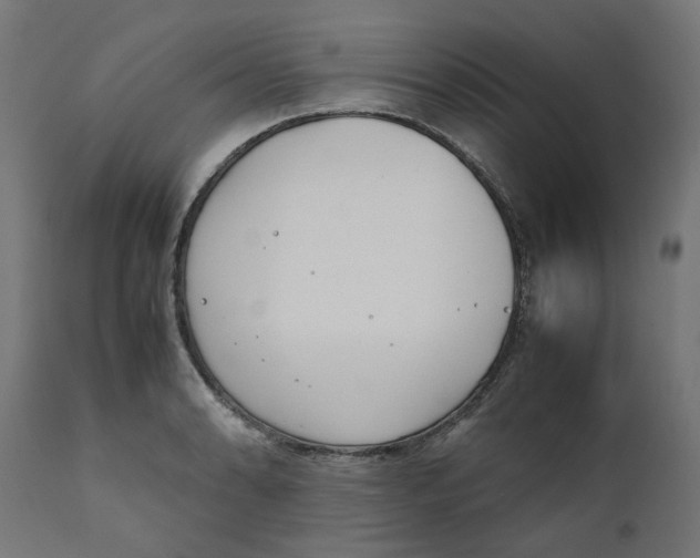 X0000111491086200907281221