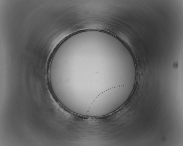 X0000111491087200907281221