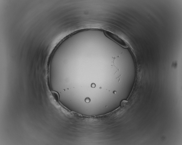 X0000111491088200907281221