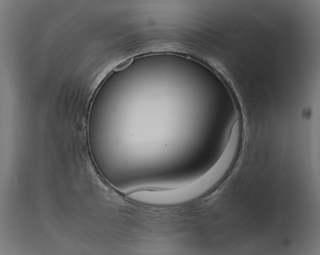 X0000111491089200907281221