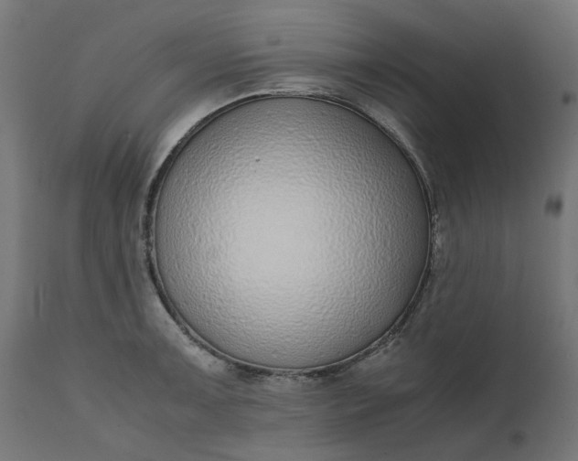 X0000111491091200907281221