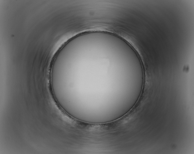 X0000111491093200907281221