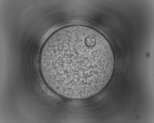 X0000111491094200907281221