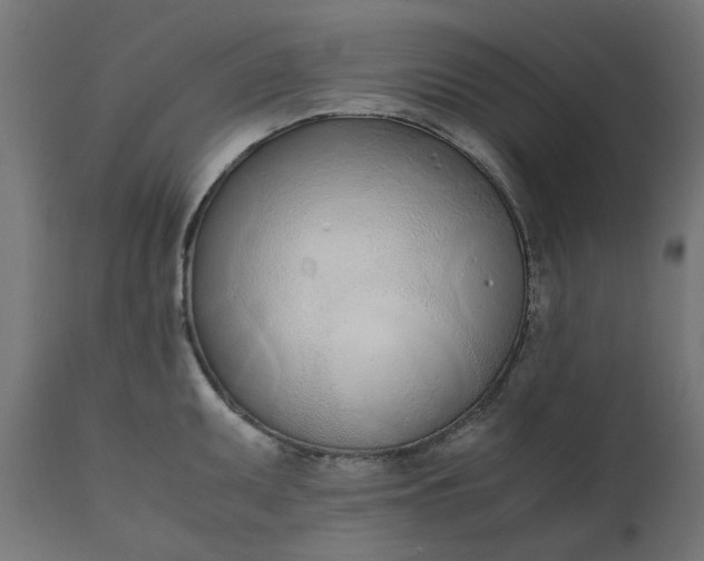 X0000111491095200907281221