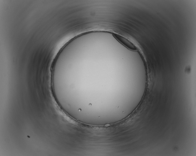 X0000111491096200907281221