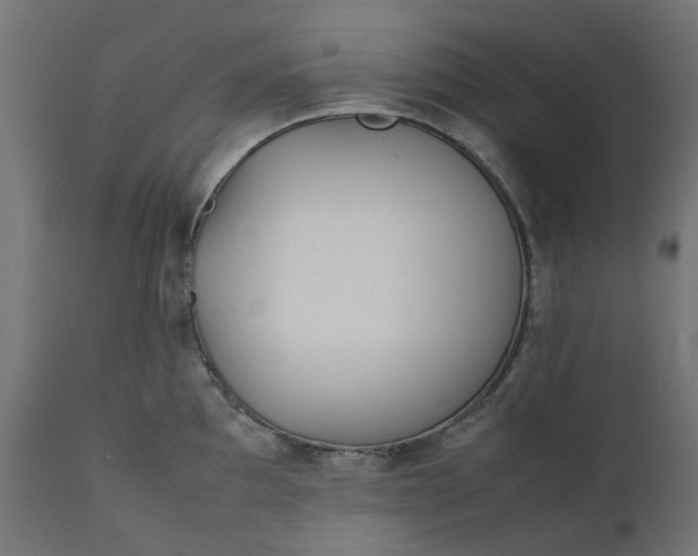 X0000111491097200907281221