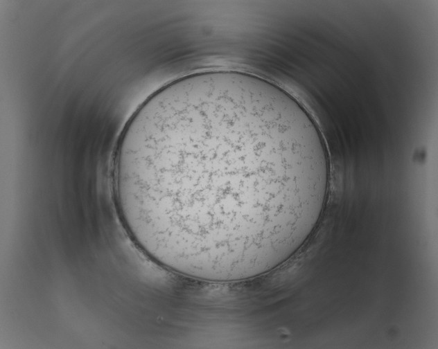 X0000111491098200907281221