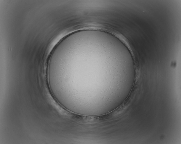 X0000111491099200907281221