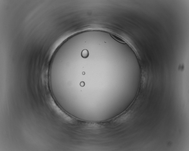 X0000111491100200907281221