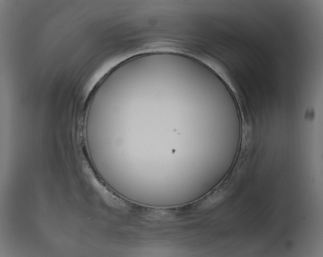 X0000111491101200907281221