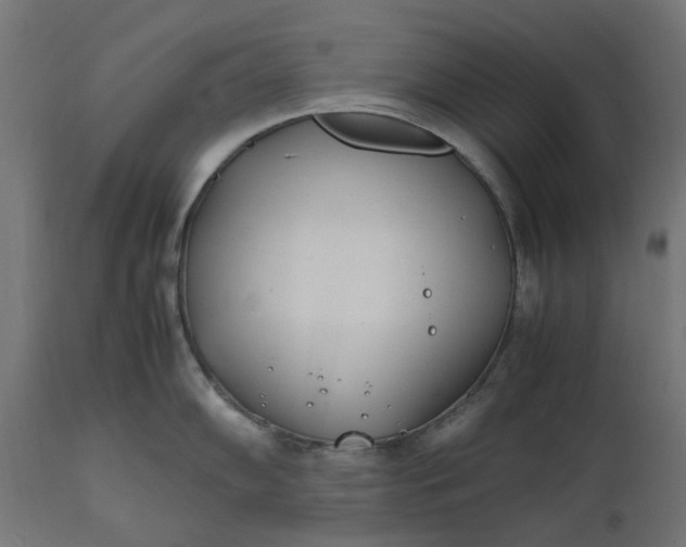 X0000111491102200907281221