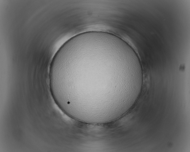 X0000111491103200907281221