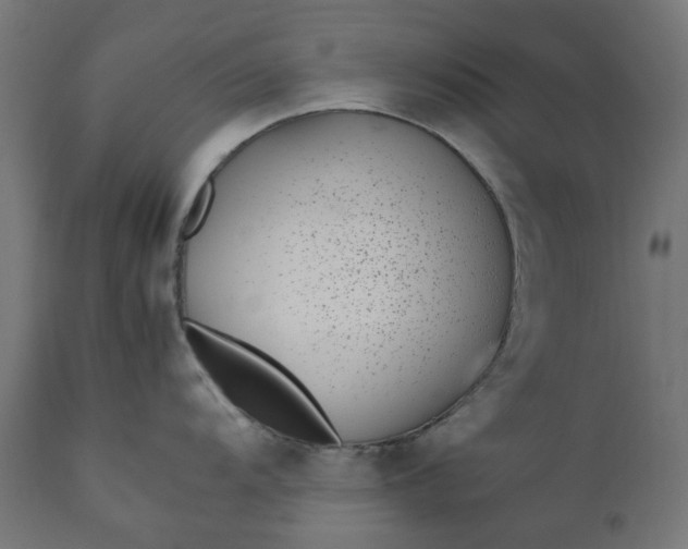 X0000111491104200907281221