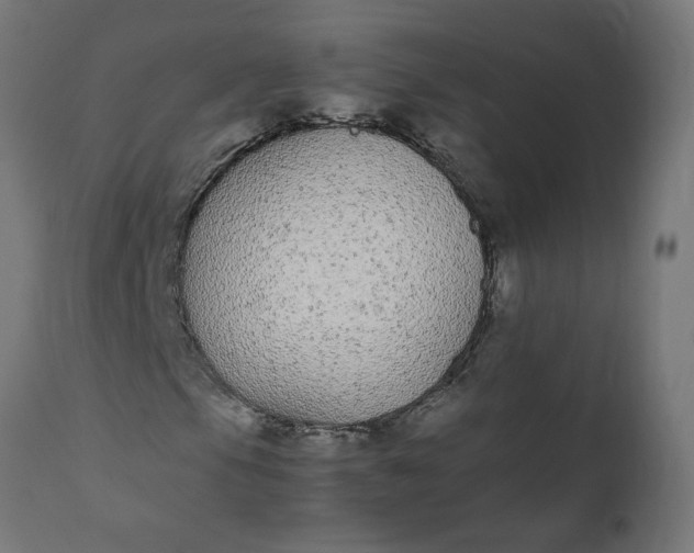 X0000111491105200907281220