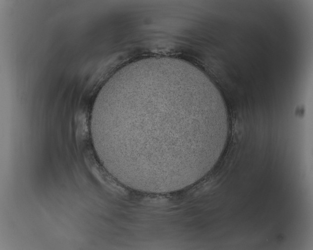 X0000111491106200907281220