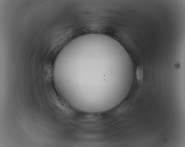 X0000111491107200907281220