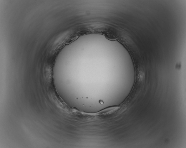 X0000111491108200907281220