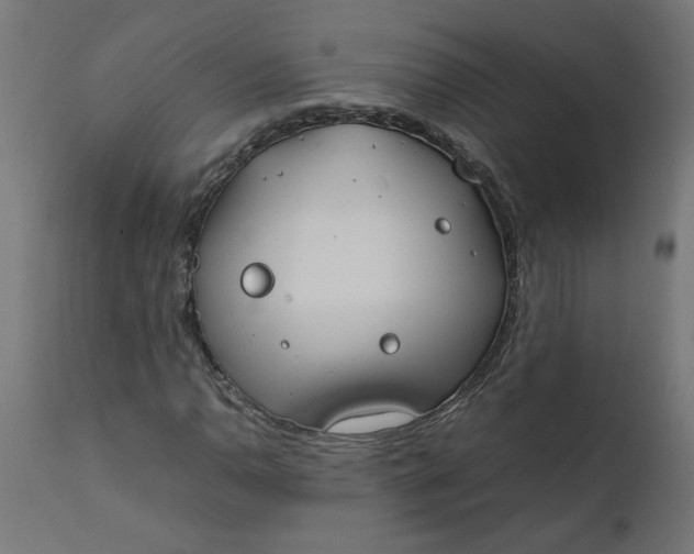 X0000111491110200907281220