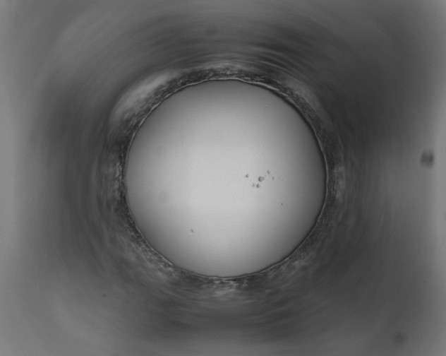 X0000111491111200907281220