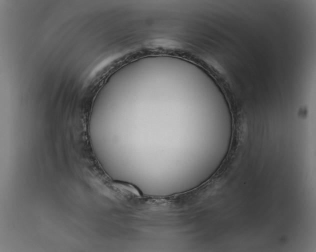 X0000111491112200907281220