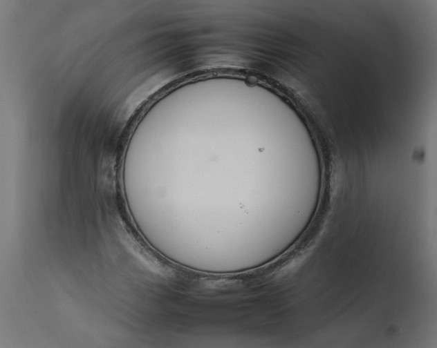 X0000111491113200907281220