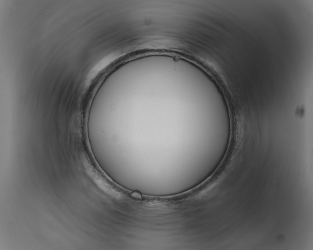 X0000111491114200907281220